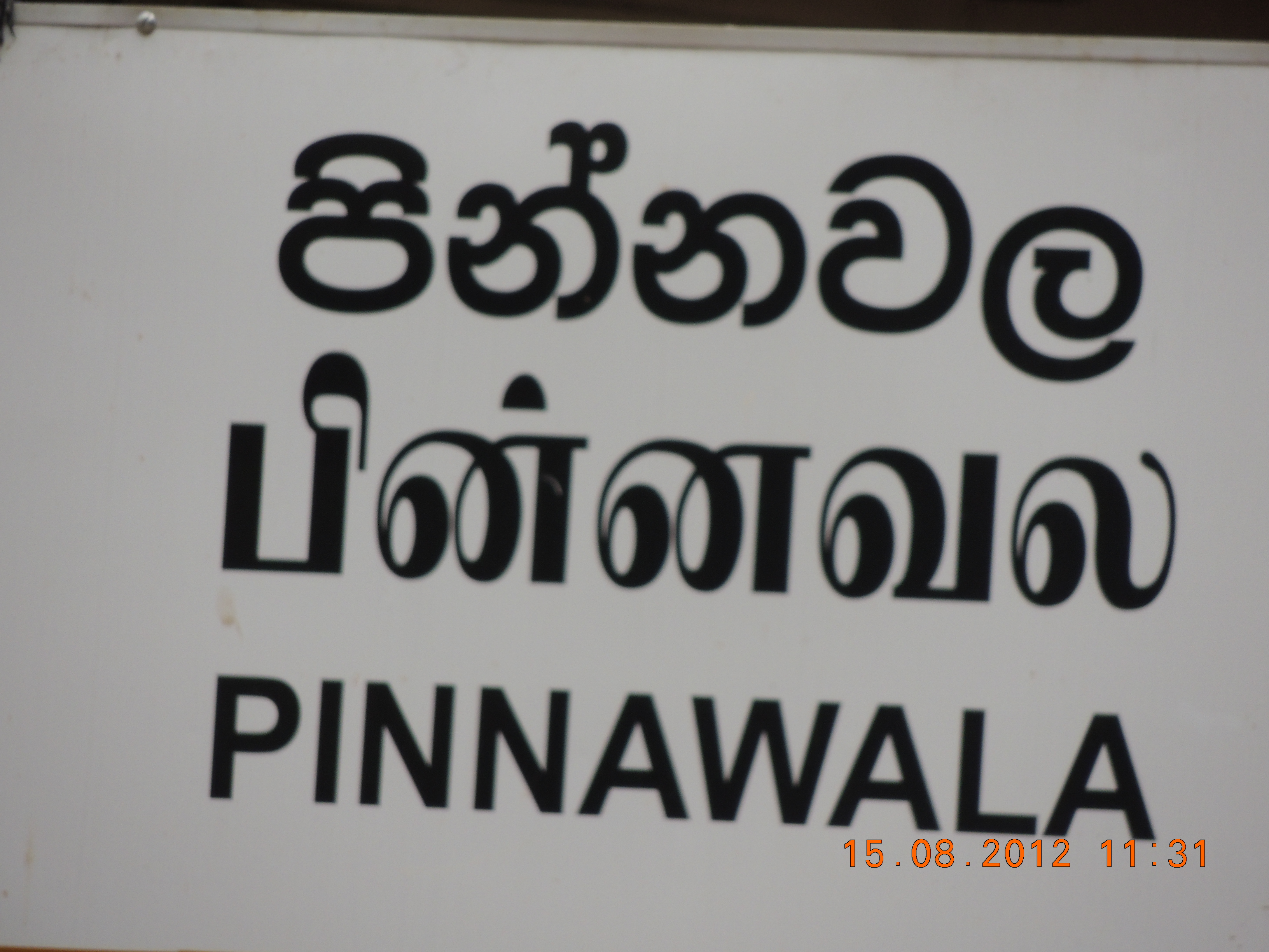 DSCN1341